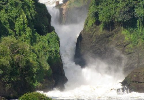 3 Days Murchison Falls National Park Tour