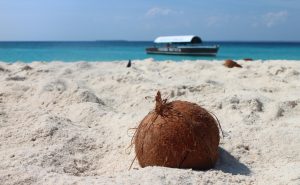 8 Days Zanzibar Beach Tour